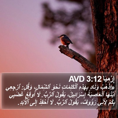 إِرْمِيَا 3:12 AVD Bible Verse Image
