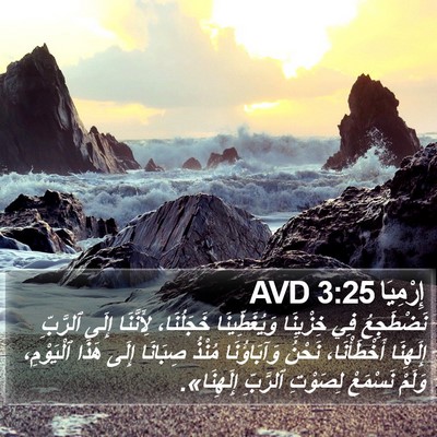 إِرْمِيَا 3:25 AVD Bible Verse Image