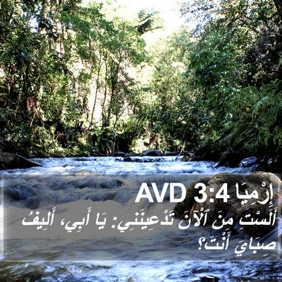 إِرْمِيَا 3:4 AVD Bible Verse Image