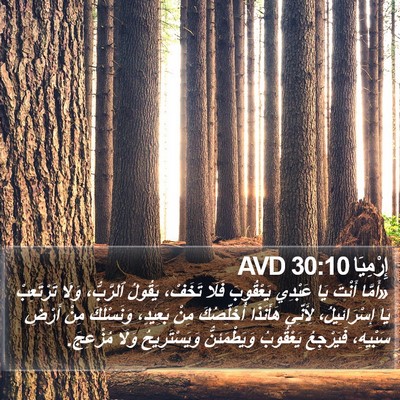 إِرْمِيَا 30:10 AVD Bible Verse Image