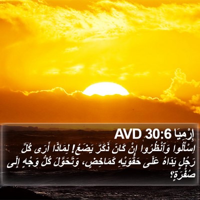 إِرْمِيَا 30:6 AVD Bible Verse Image