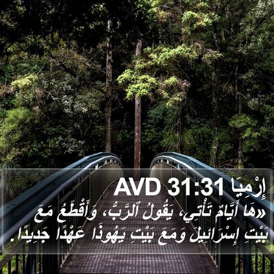 إِرْمِيَا 31:31 AVD Bible Verse Image