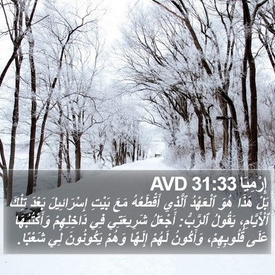 إِرْمِيَا 31:33 AVD Bible Verse Image