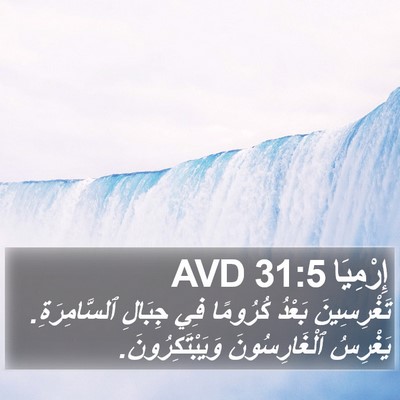 إِرْمِيَا 31:5 AVD Bible Verse Image