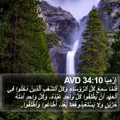 إِرْمِيَا 34:10 AVD Bible Verse Image