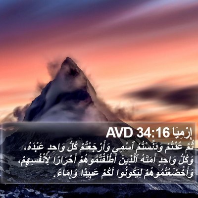 إِرْمِيَا 34:16 AVD Bible Verse Image