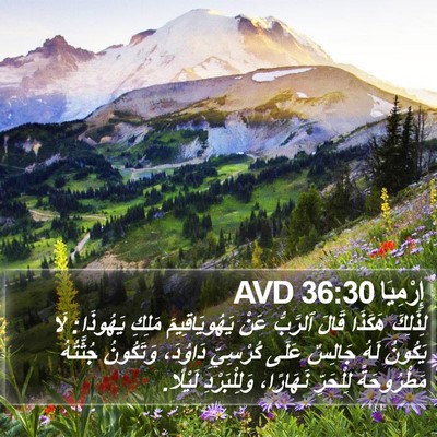 إِرْمِيَا 36:30 AVD Bible Verse Image