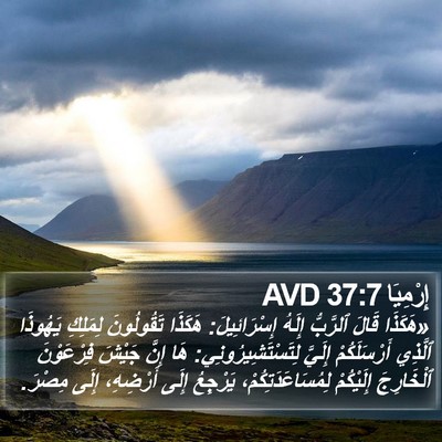 إِرْمِيَا 37:7 AVD Bible Verse Image