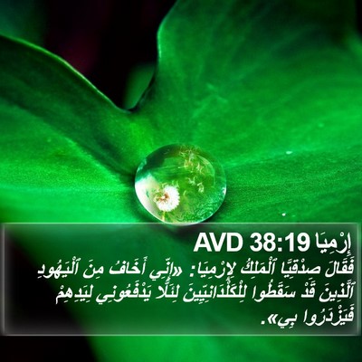 إِرْمِيَا 38:19 AVD Bible Verse Image