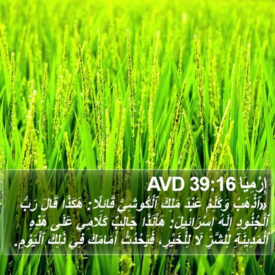 إِرْمِيَا 39:16 AVD Bible Verse Image