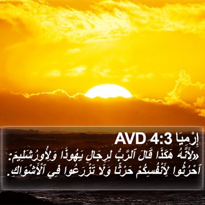 إِرْمِيَا 4:3 AVD Bible Verse Image