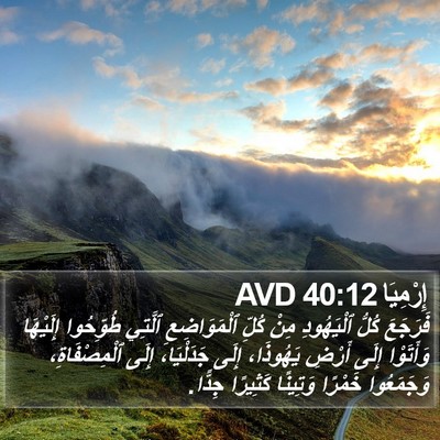 إِرْمِيَا 40:12 AVD Bible Verse Image