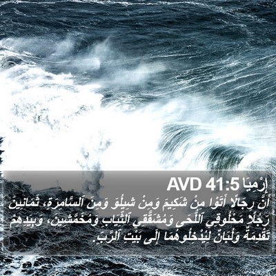إِرْمِيَا 41:5 AVD Bible Verse Image