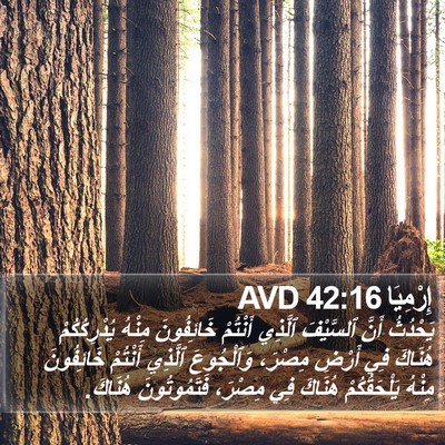 إِرْمِيَا 42:16 AVD Bible Verse Image