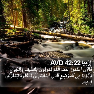 إِرْمِيَا 42:22 AVD Bible Verse Image