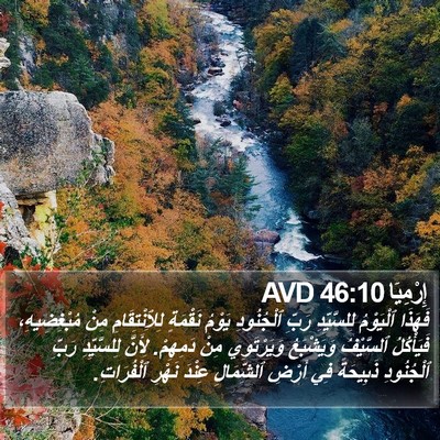 إِرْمِيَا 46:10 AVD Bible Verse Image