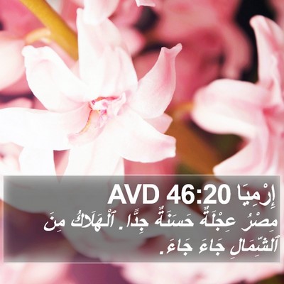 إِرْمِيَا 46:20 AVD Bible Verse Image