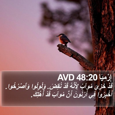 إِرْمِيَا 48:20 AVD Bible Verse Image