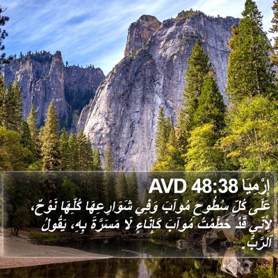 إِرْمِيَا 48:38 AVD Bible Verse Image