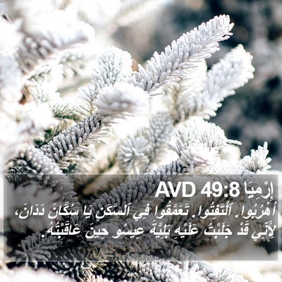 إِرْمِيَا 49:8 AVD Bible Verse Image