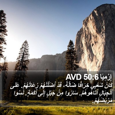 إِرْمِيَا 50:6 AVD Bible Verse Image