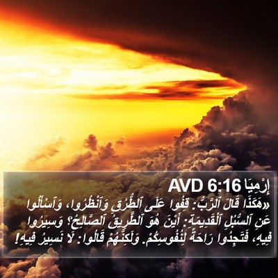 إِرْمِيَا 6:16 AVD Bible Verse Image