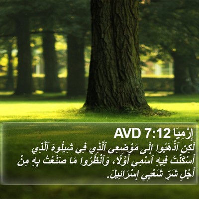 إِرْمِيَا 7:12 AVD Bible Verse Image