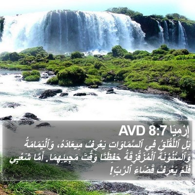 إِرْمِيَا 8:7 AVD Bible Verse Image