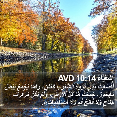 إِشَعْيَاءَ 10:14 AVD Bible Verse Image