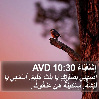 إِشَعْيَاءَ 10:30 AVD Bible Verse Image