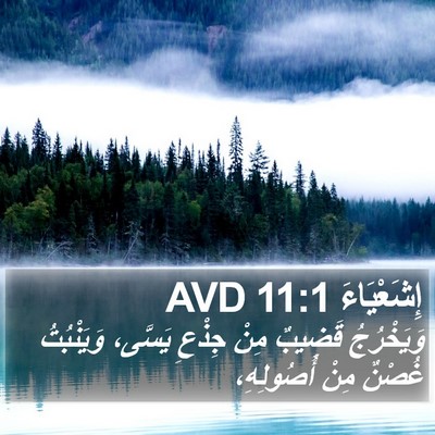 إِشَعْيَاءَ 11:1 AVD Bible Verse Image