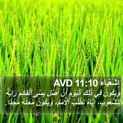 إِشَعْيَاءَ 11:10 AVD Bible Verse Image