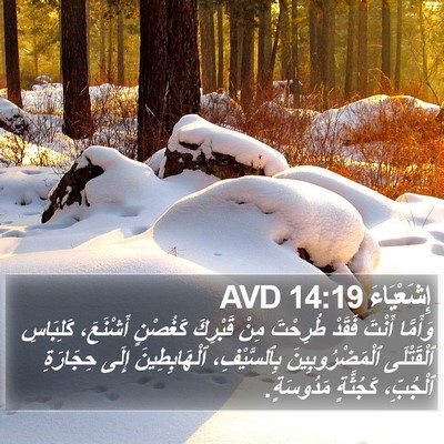 إِشَعْيَاءَ 14:19 AVD Bible Verse Image
