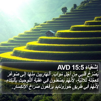 إِشَعْيَاءَ 15:5 AVD Bible Verse Image