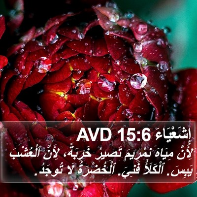 إِشَعْيَاءَ 15:6 AVD Bible Verse Image