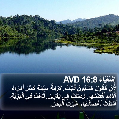 إِشَعْيَاءَ 16:8 AVD Bible Verse Image