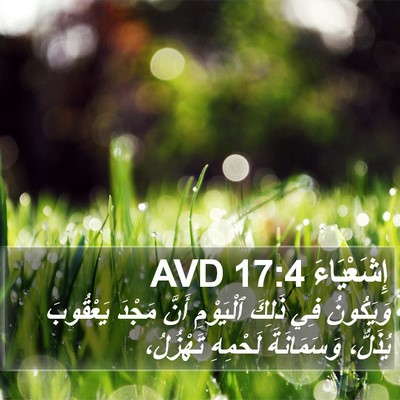إِشَعْيَاءَ 17:4 AVD Bible Verse Image