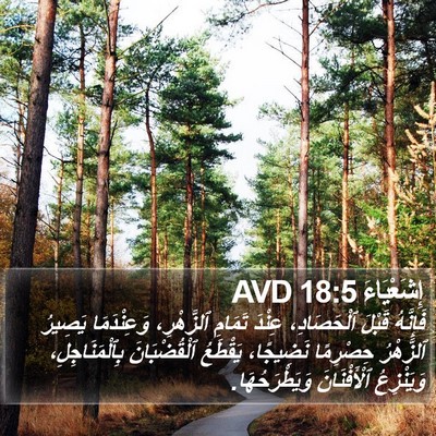 إِشَعْيَاءَ 18:5 AVD Bible Verse Image