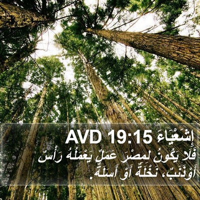 إِشَعْيَاءَ 19:15 AVD Bible Verse Image