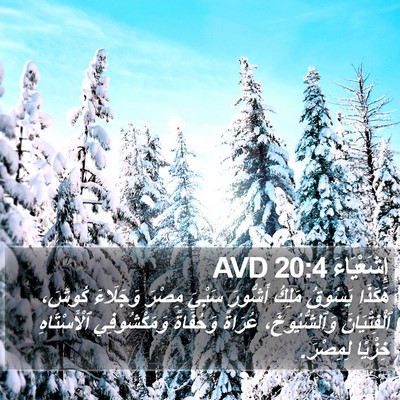 إِشَعْيَاءَ 20:4 AVD Bible Verse Image