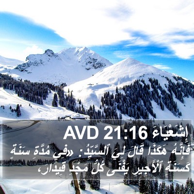 إِشَعْيَاءَ 21:16 AVD Bible Verse Image