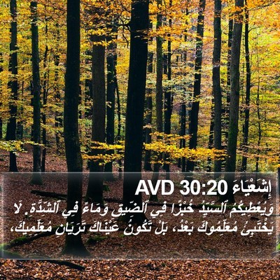 إِشَعْيَاءَ 30:20 AVD Bible Verse Image