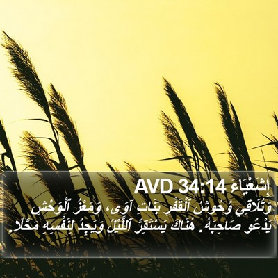 إِشَعْيَاءَ 34:14 AVD Bible Verse Image