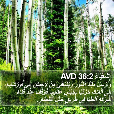 إِشَعْيَاءَ 36:2 AVD Bible Verse Image