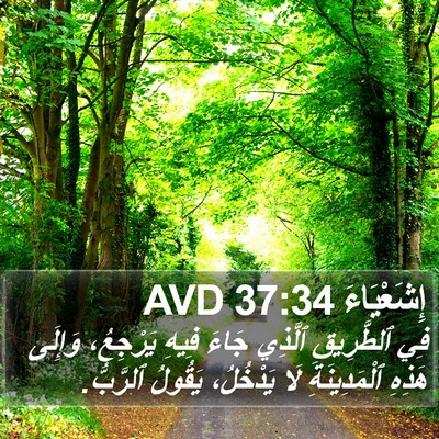 إِشَعْيَاءَ 37:34 AVD Bible Verse Image