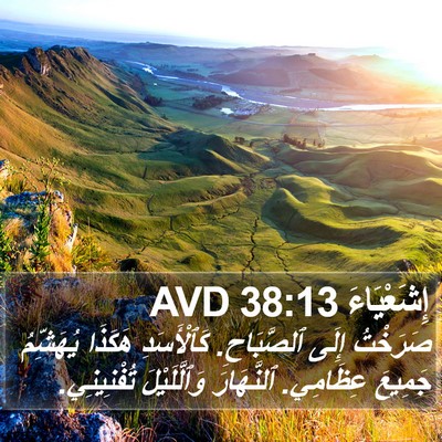 إِشَعْيَاءَ 38:13 AVD Bible Verse Image