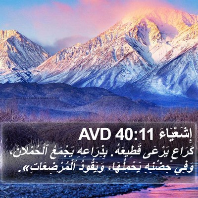 إِشَعْيَاءَ 40:11 AVD Bible Verse Image