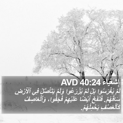 إِشَعْيَاءَ 40:24 AVD Bible Verse Image