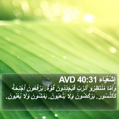 إِشَعْيَاءَ 40:31 AVD Bible Verse Image