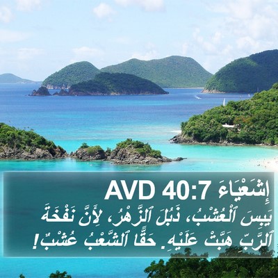 إِشَعْيَاءَ 40:7 AVD Bible Verse Image